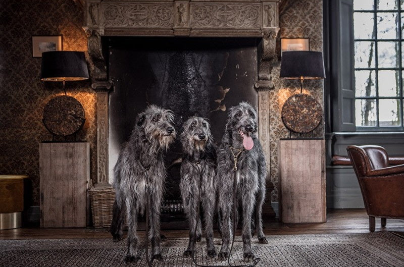 5-Dieren Prestige gemalen 500 – 1000 gram