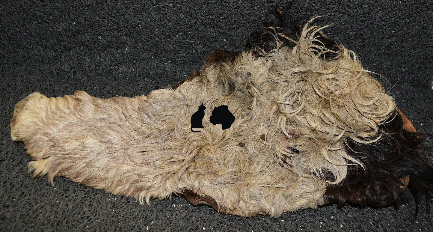 Gedroogde Runderkophuid met haar geschoren zak