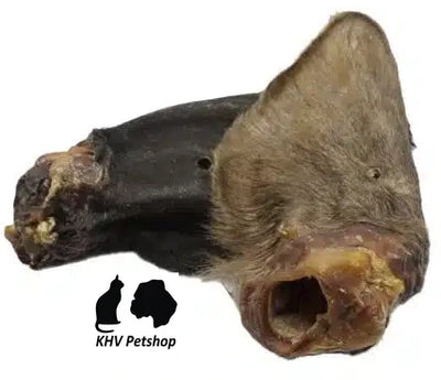 Gedroogde Runderoor met haar per stuk