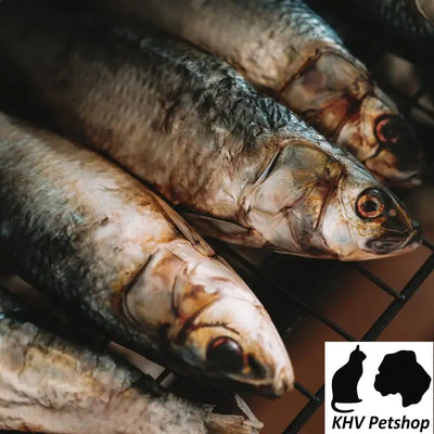 Gedroogde Sardientjes 2 stuks