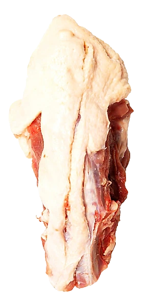 Eendenrugstuk 2 stuks