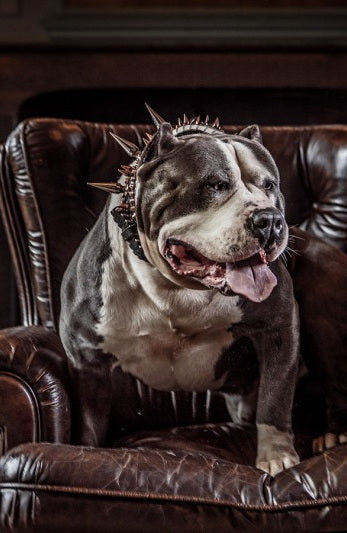 Geit gemalen 500 – 1000 gram