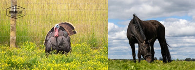 Kalkoen-Paard gemalen 500 – 1000 gram