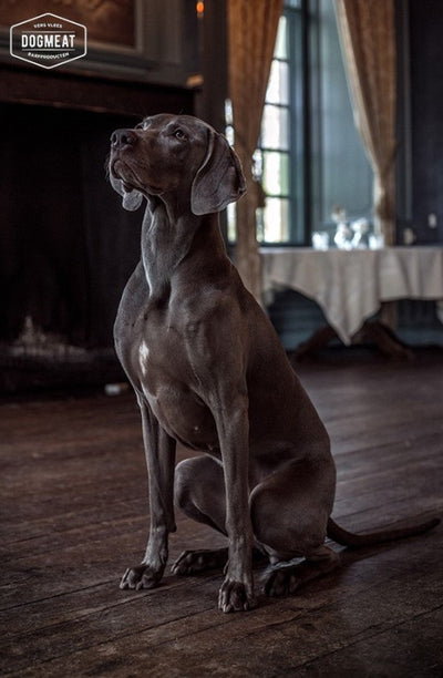 Kalkoen-Zalm gemalen 500 - 1000 gram