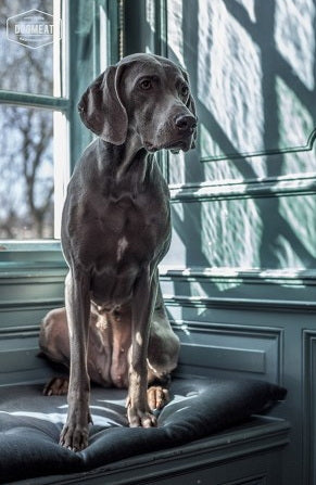 Lam gemalen 500 – 1000 gram