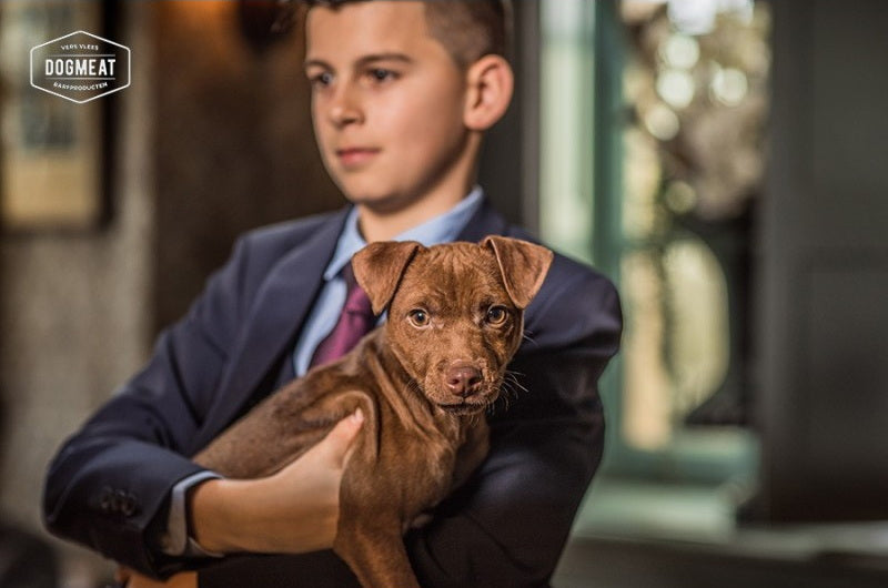 Paard-Lam-Konijn gemalen 500 – 1000 gram