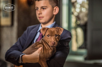 Paard-Lam-Konijn gemalen 500 – 1000 gram