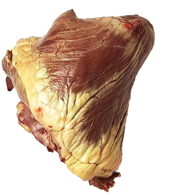 Paardenhart 1000 gram