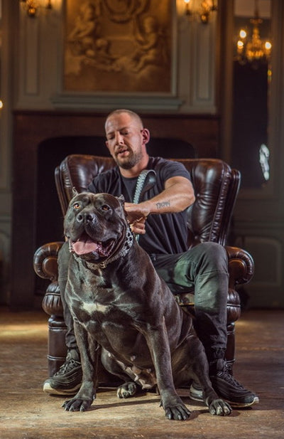 Runderboekmaag gemalen 200 – 500 – 1000 gram