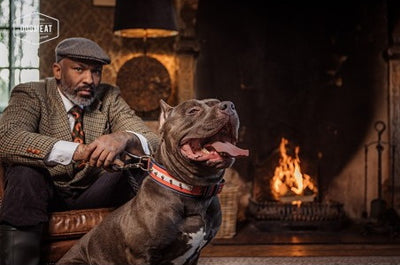 5-Dieren Basis gemalen 500 – 1000 Gram