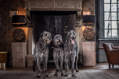 5-Dieren Prestige gemalen 500 – 1000 gram