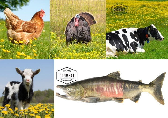 5-Dieren Prestige gemalen 500 – 1000 gram