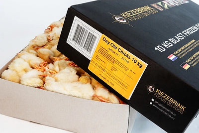 Hele Geslachte Ééndagskuikens