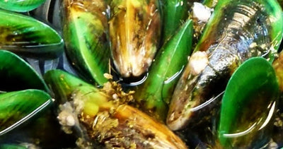 Groenlipmossel glucosamine met MSM extract