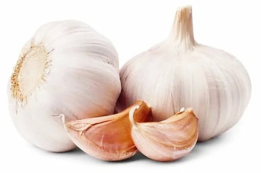 Weg Vlo natuurlijke wijze 20 ml