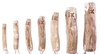 Koffieboom Kauwwortel Maat XXS t/m XXL