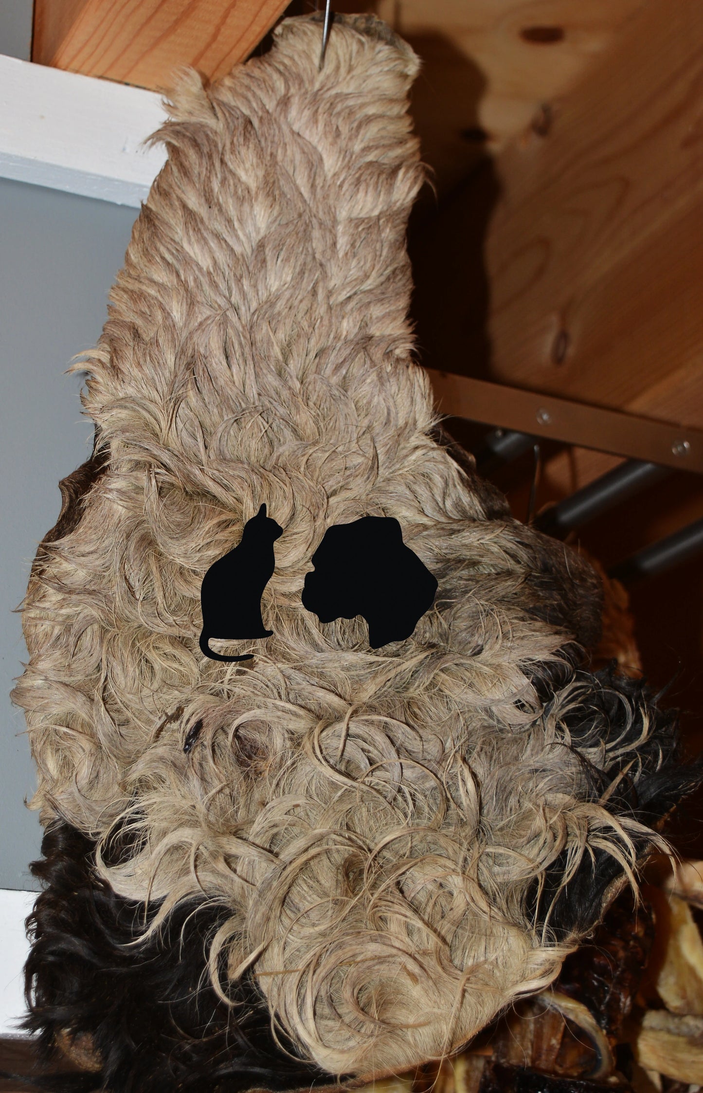 Gedroogde Runderkophuid met haar geschoren zak