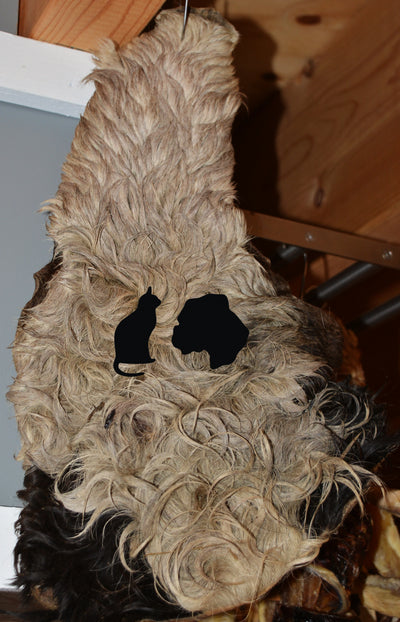 Gedroogde Runderkophuid met haar geschoren zak