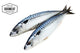 Makreel 500 gram