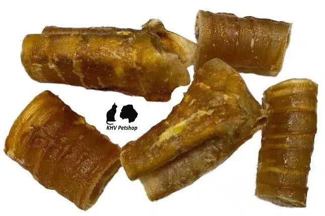 Gedroogde Paardenluchtpijp streng