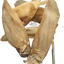 Runderoren naturel zonder haar