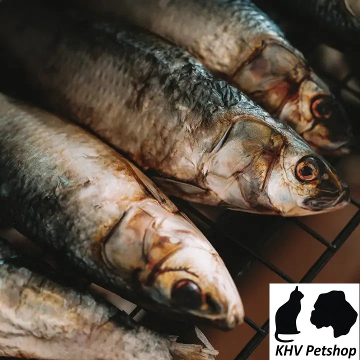 Gedroogde Sardientjes 2 stuks