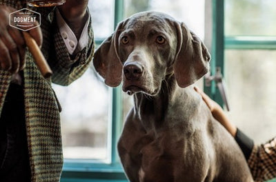 Eend-Rund gemalen 500 – 1000 gram