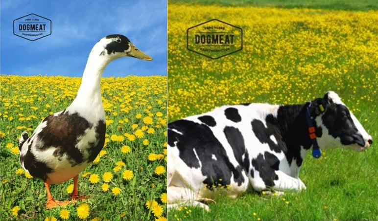 Eend-Rund gemalen 500 – 1000 gram