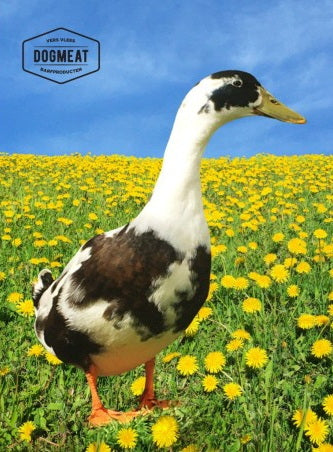 Eendenvleugels 1000 gram