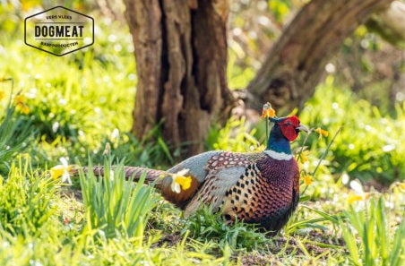 Fazant gemalen 1000 gram