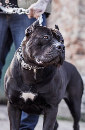 Fokkersworst gemalen 1250 gram