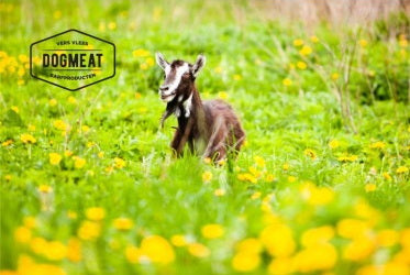 Geit gemalen 500 – 1000  gram