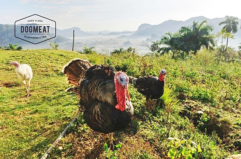 Kalkoenstaarten 1000 gram