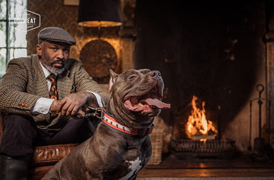 Kalkoen-Rund-Lam gemalen 1000 gram