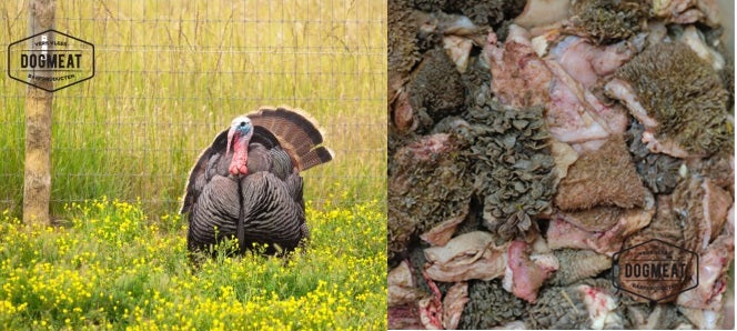 Kalkoen-Runderpens gemalen 500 – 1000 gram