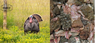 Kalkoen-Runderpens gemalen 500 – 1000 gram