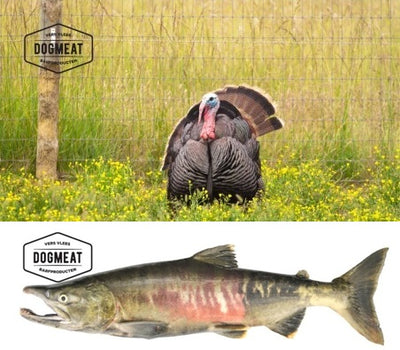 Kalkoen-Zalm gemalen 1000 gram