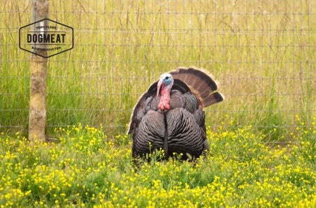 Kalkoenhartjes 1000 gram