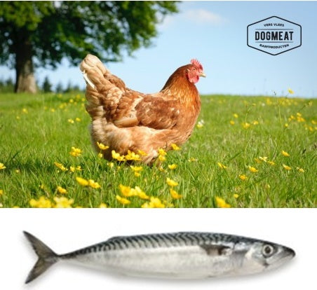 Kip-Makreel gemalen 1000  gram