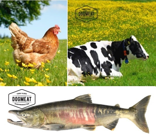 Kip-Rund-Zalm gemalen 1000 gram