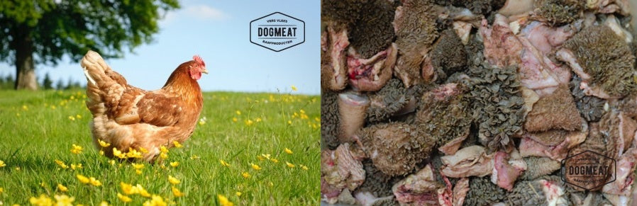 Kip -Runderpens gemalen 1000 gram