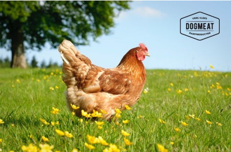 Kippenlevertjes 1000 gram