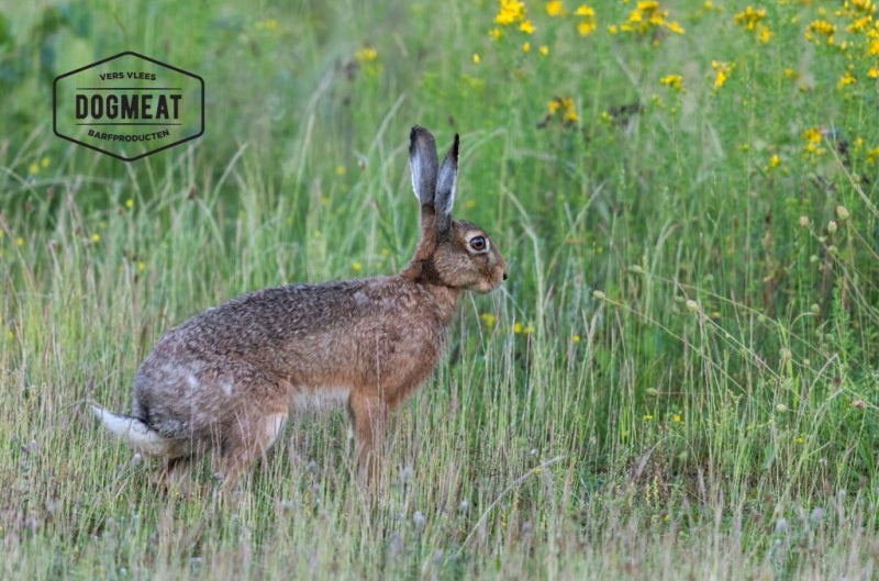 Konijnenniertjes 1000 gram