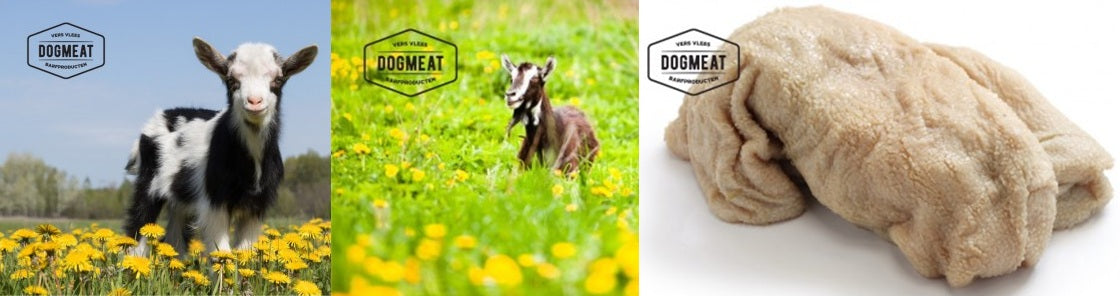 Lam-Geit-Lamspens gemalen 1000 gram