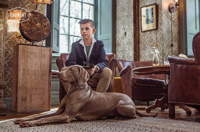 Lam-Geit-Lamspens gemalen 1000 gram