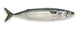 Makreel gemalen 1000 gram
