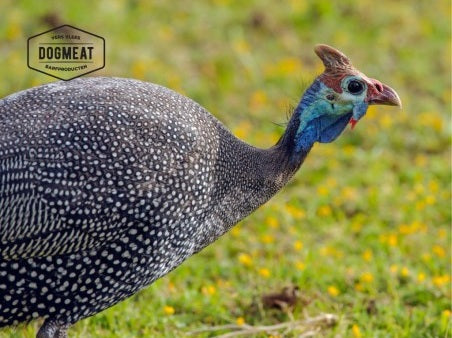 Parelhoen gemalen 1000 gram