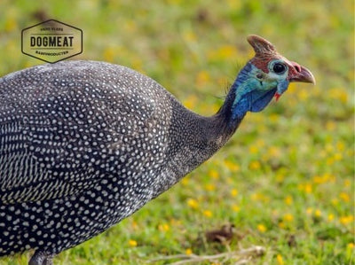 Parelhoen gemalen 1000 gram