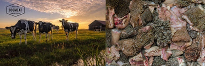 Rund-Runderpens gemalen 1000 gram