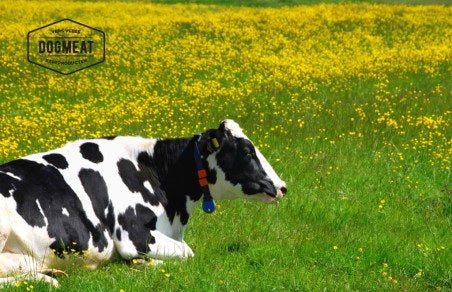 Rund gemalen 200 – 500 – 1000 gram